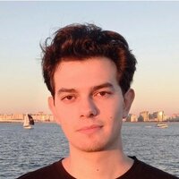 Дмитрий Нестеров