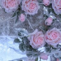 Лизавета Таранухина