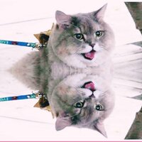 Сергей Семенов