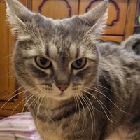 Татьяна Степанюк