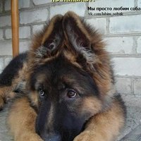 Максим Иванов