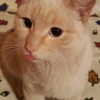 Вячеслав Л.