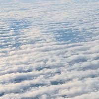 Светлана Ш.