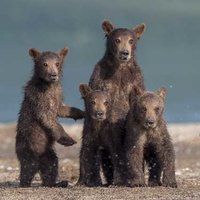 Ольга Взородова