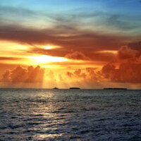 Александр Амалатов