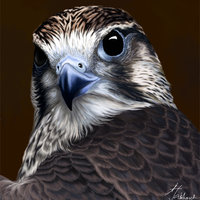 Вячеславчик