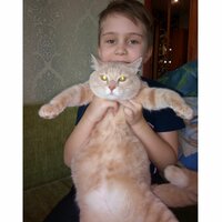 Татьяна Артеева