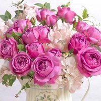 Элла Анищева