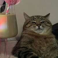 Сергей Тарасов