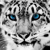 f3apg5dqy0ue3tvqhxeqzxp7cr