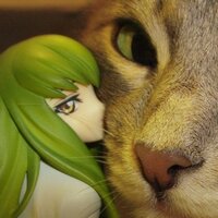 Арина Аминева Александровна