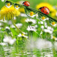 Наталья Саенко