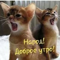 Марина Новая