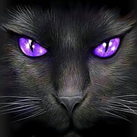 Ольга Плиско