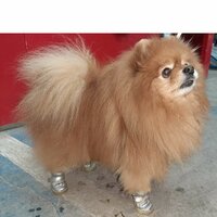 Сергей Васильев