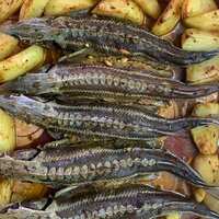 Отец Михаил