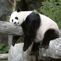 Юрий Филимонов