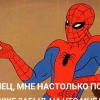 Анастаси Беркут