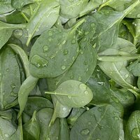 АЛЕКСАНДРА КАЗАКОВА