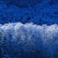 Женёк Антошкин