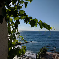 Олег Медведев