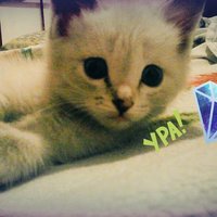 Намзырай Мамытбеков