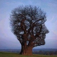 Андрей Шилашидов