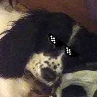 Никита Мироненко