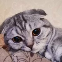 Вероника Вячеславовна