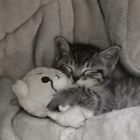 𝚟𝚒𝚔𝚜𝚊𝚊𝚊