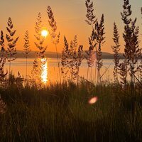 Ленуська ☀️