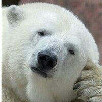 Зачем Вам моё имя