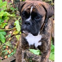 Светлана Бениш