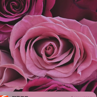 Нурби Батыргужинова