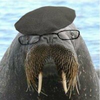 WalrusErch