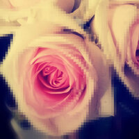 Оксана Ваулина