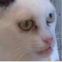 Саня Дизайнер