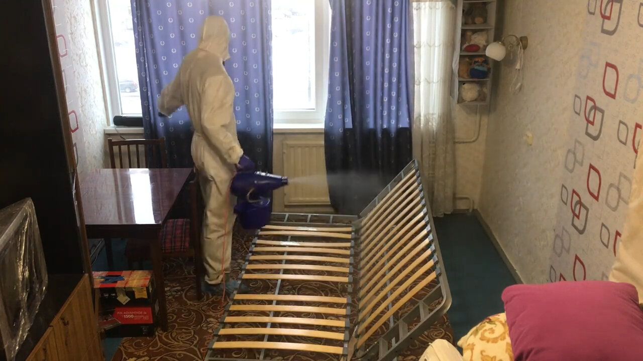 уничтожение клопов, дезинсекция, дезинфекция от клопов в квартире, клопы в квартире уничтожение, дезинсекция клопов