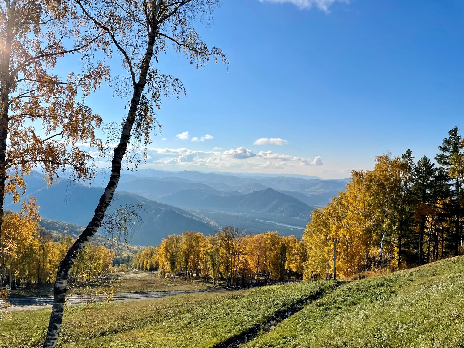 золотая осень горный алтай белокуриха, пейзаж, горы в белокурихе алтайского края осенью, гора берёзовая алтайский край, алтай белокуриха горы