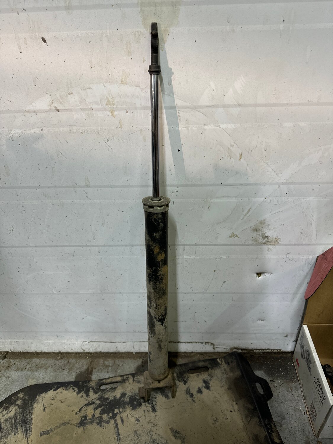 амортизатор задний для, амортизатор ниссан тиида, амортизатор задний nissan tiida, задние амортизаторы 308, амортизатор задний киа сид 2011