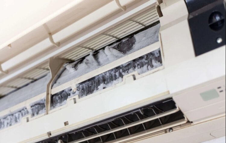 ���������������� �� ��������������������������, ����������������������, ���������������������� ������������������������, ���������������������� ��������������, ������������ ���������������������� ���������� ������������������������