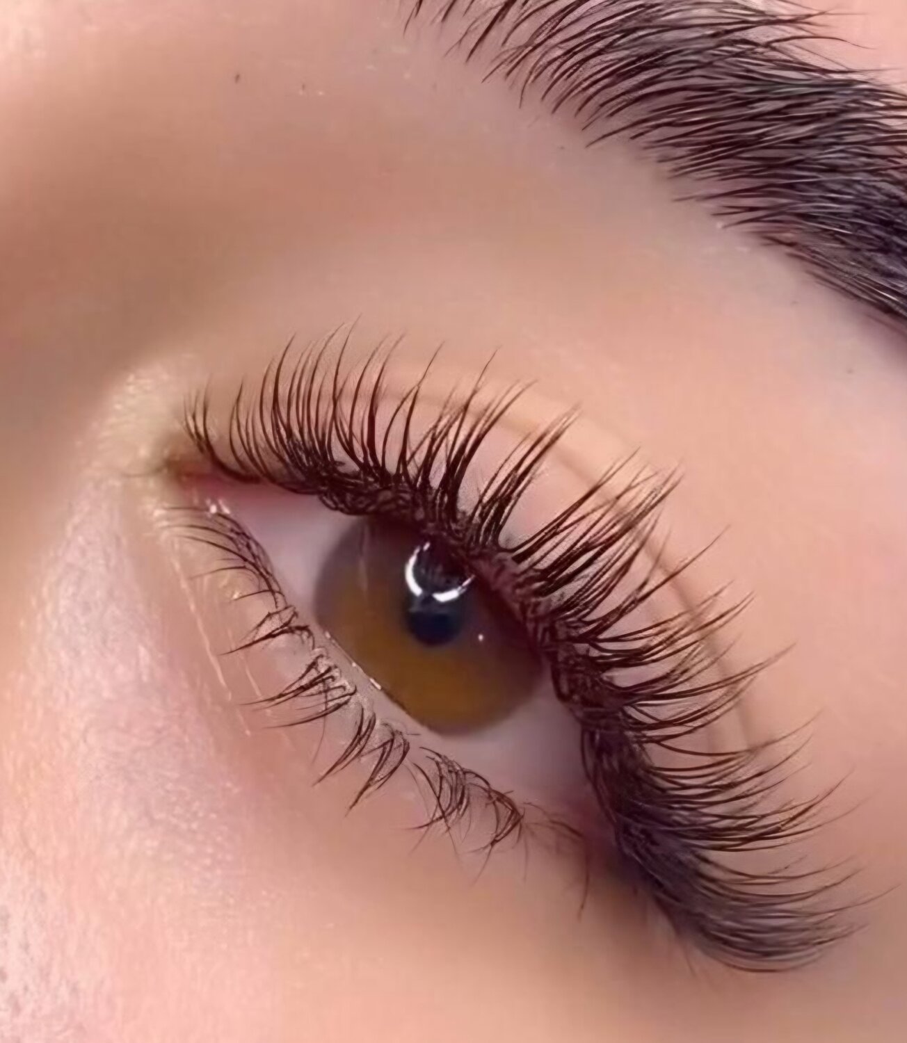 ������������ �������������������� ������������, ��������������, eyelash extension, �������������� ����������������������, ������������������ ��������������