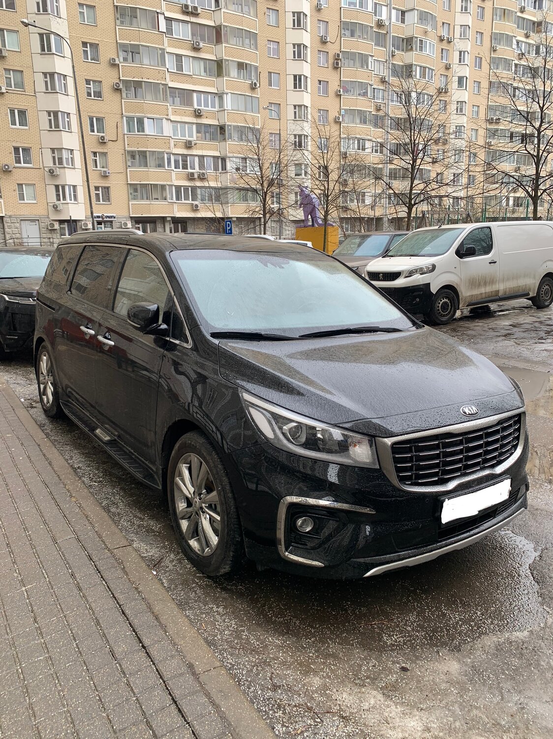 kia carnival, kia carnival 2019, киа карнивал 2018, киа карнивал 2019, Audi A1