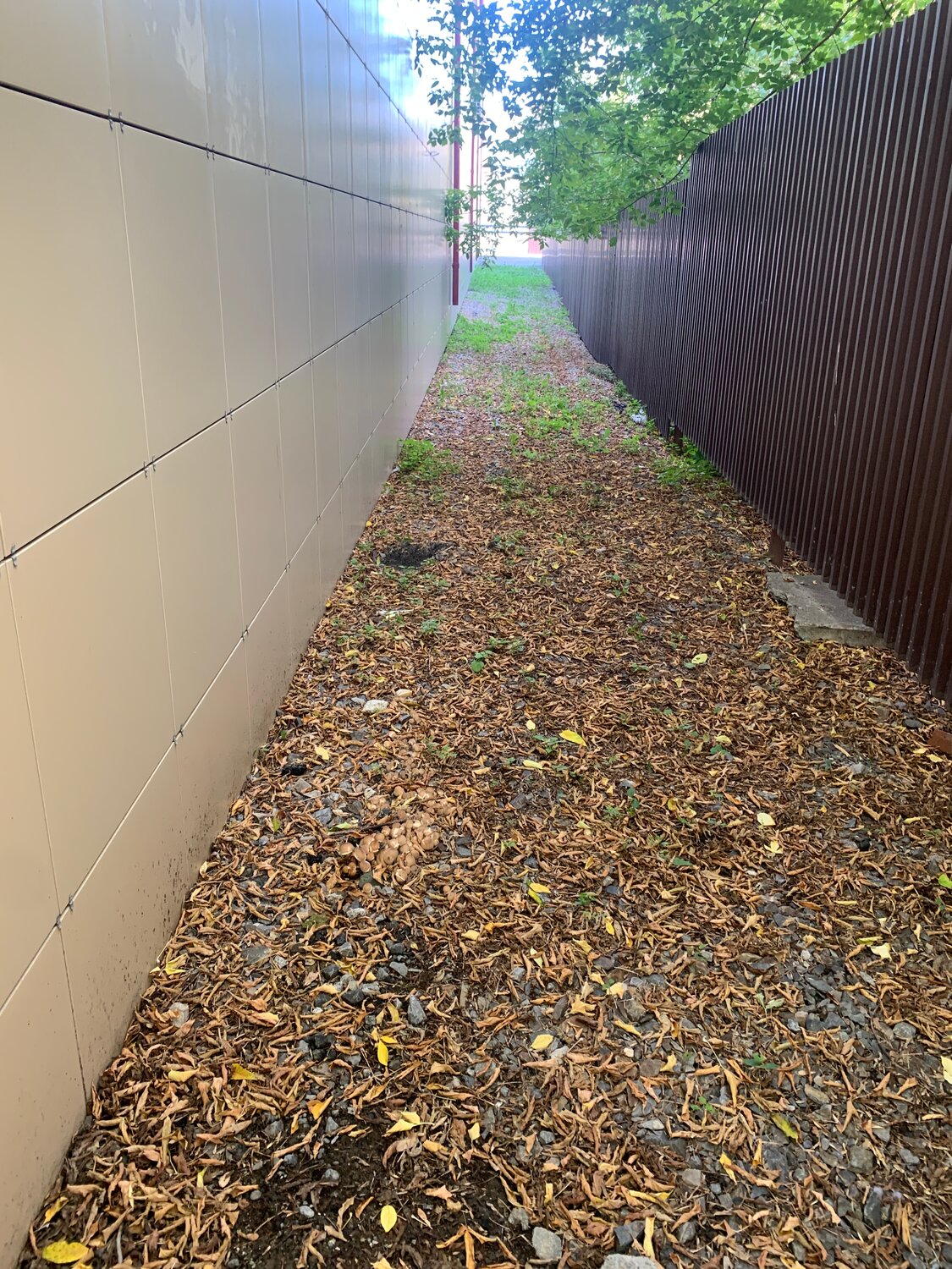 профлист для забора под зелень, забор, профлист забор, забор из профнастила, ленточный забор