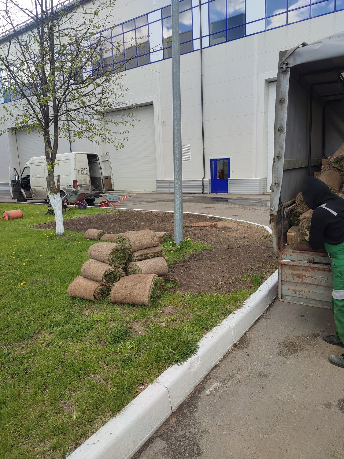 укладка рулонного газона, ландшафтный дизайн, озеленение, посадка газона, укладка газона
