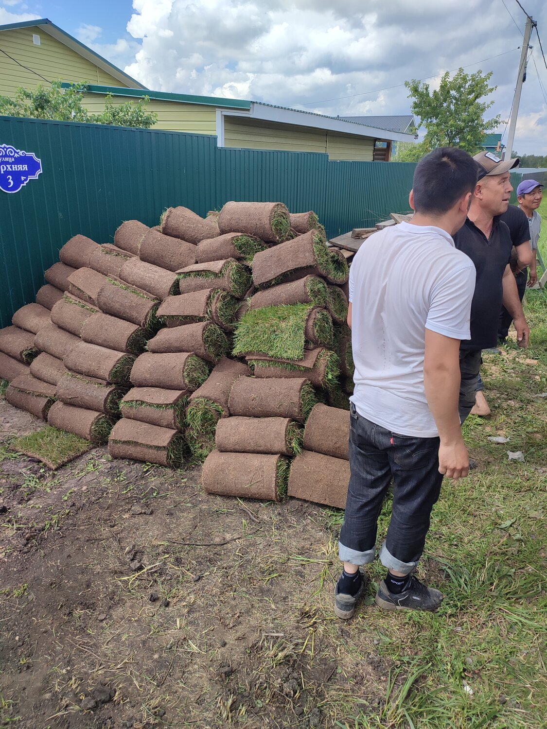 газон, укладка газона, укладка рулонного газона, семен рощин рыбинск, перегной в мешках