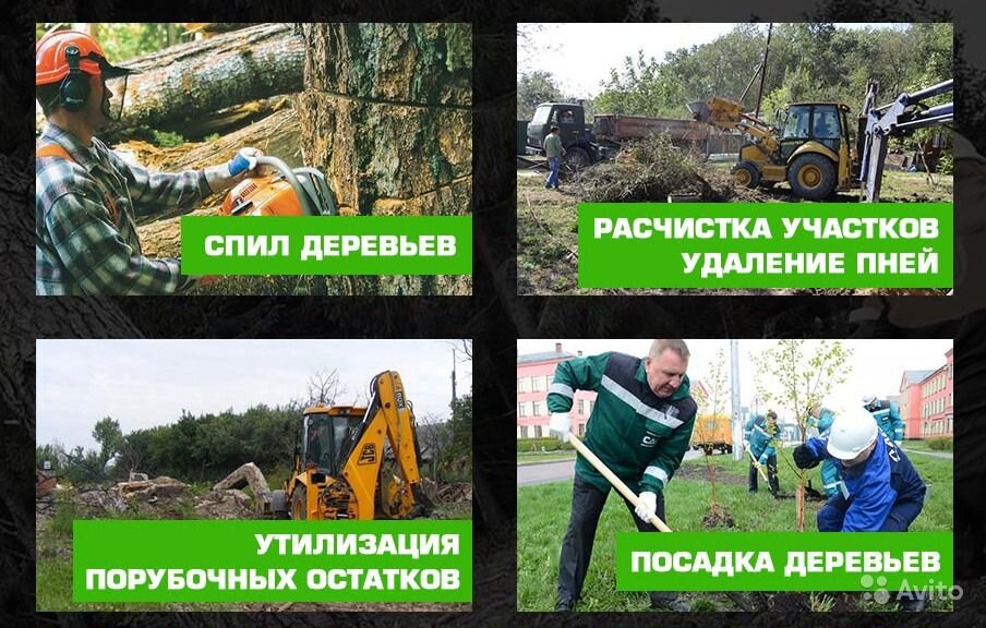 спил деревьев расчистка участка, расчистка территории спил деревьев, спил деревьев уборка участков объявление, расчистка участков, расчистка участка