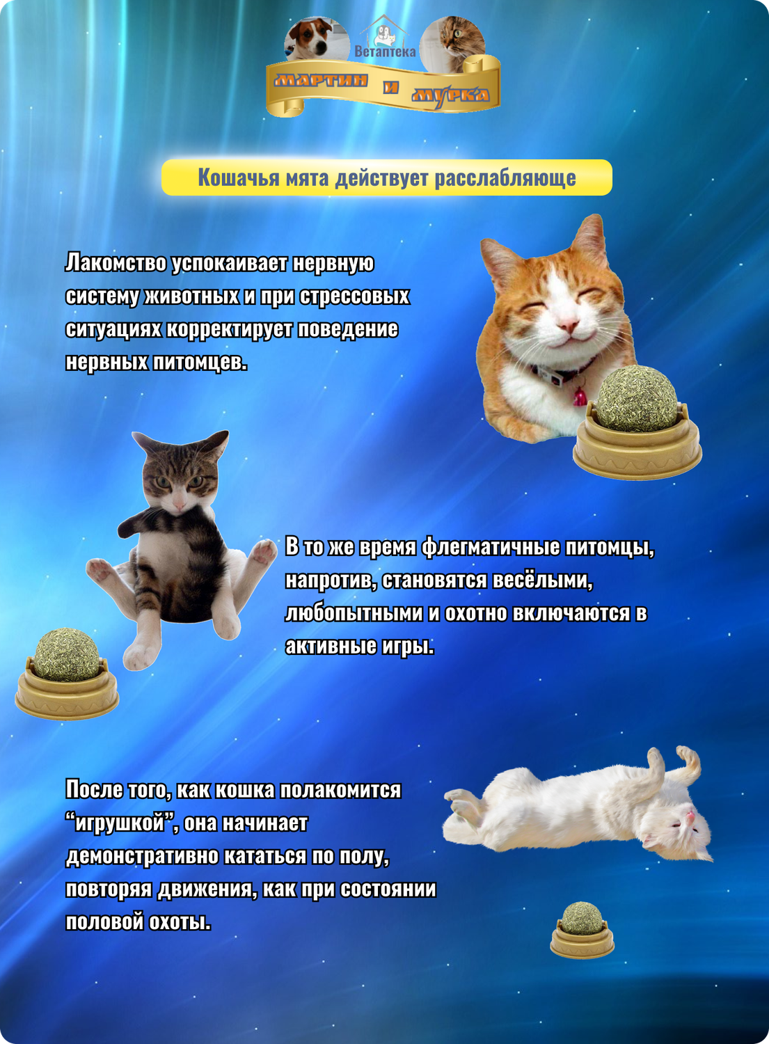 кошачий корм, кошачий мир, кошачьи, кот, игрушки для кошек