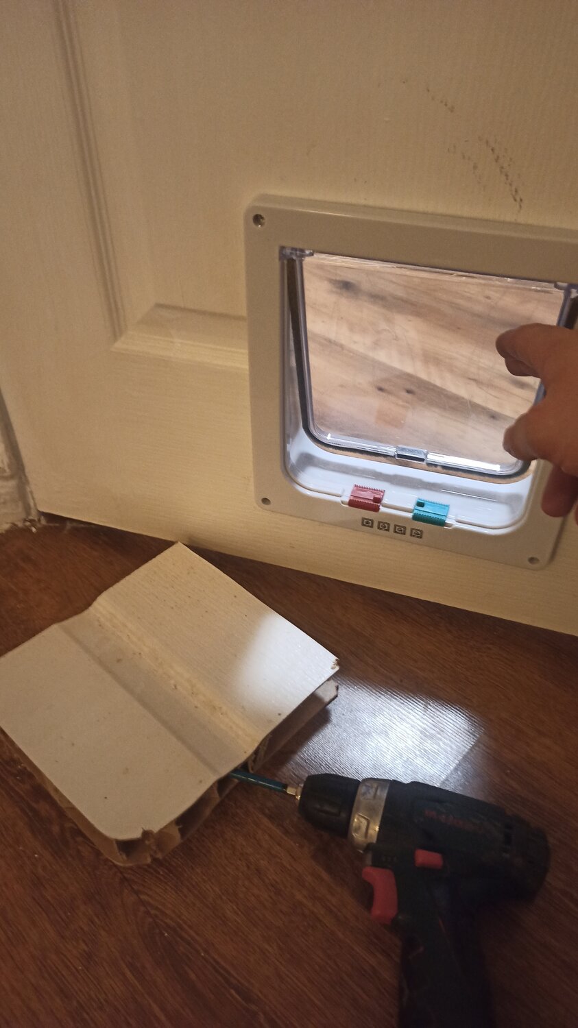 дверца для кошек trixie 4-way flap door, дверца для кошек в дверь, дверь, дверь для кошки в двери, дверца для кошек