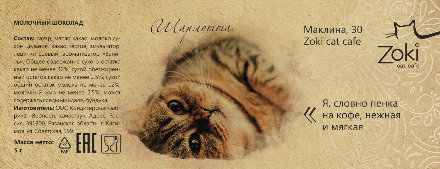 кошечка кофе бийск, кошечка, кот, милые коты, котокафе